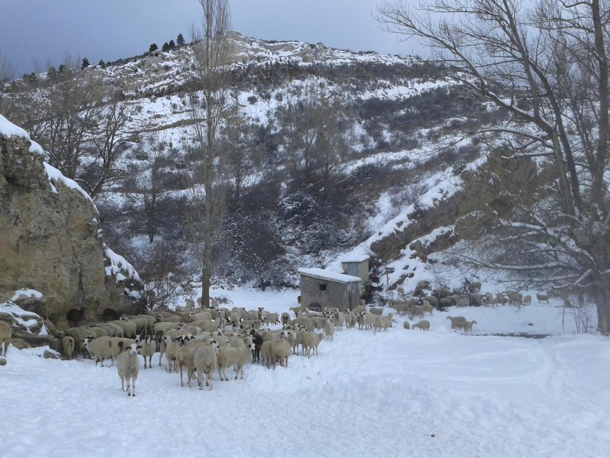 Villarroya de los Pinares Casa Rural Amador מראה חיצוני תמונה