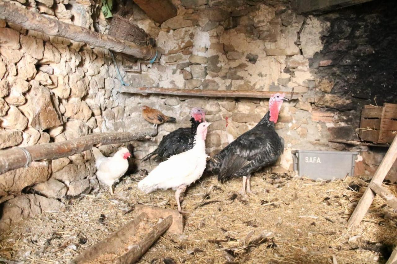 Villarroya de los Pinares Casa Rural Amador מראה חיצוני תמונה
